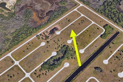 Land in Placida, Florida № 2165256 - photo 6