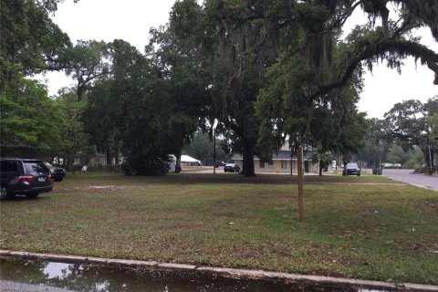 Land in Bradenton, Florida № 1824135 - photo 3