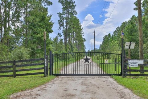 Land in New Smyrna Beach, Florida № 1904700 - photo 1