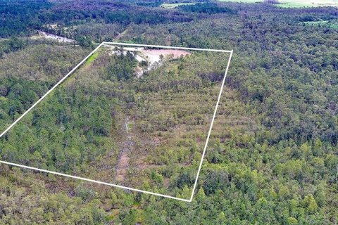 Land in New Smyrna Beach, Florida № 1904700 - photo 3