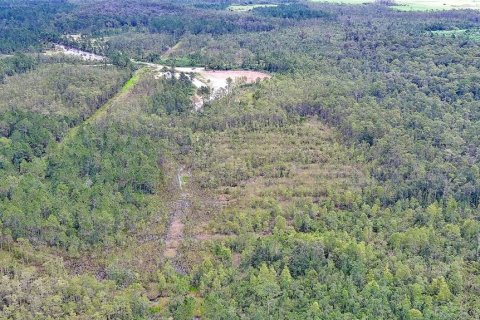 Land in New Smyrna Beach, Florida № 1904700 - photo 4