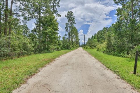 Land in New Smyrna Beach, Florida № 1904700 - photo 2