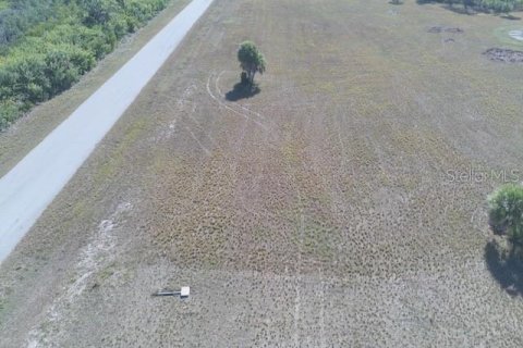Land in Placida, Florida № 2165395 - photo 7