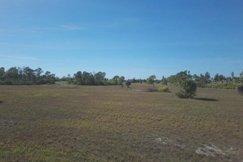 Land in Placida, Florida № 2165395 - photo 2