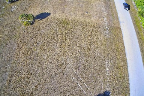 Land in Placida, Florida № 2165395 - photo 10