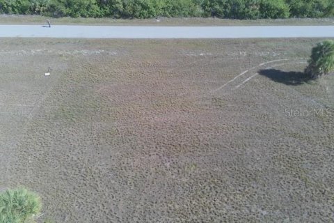 Land in Placida, Florida № 2165395 - photo 8