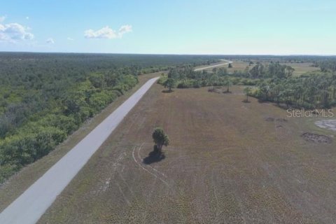 Land in Placida, Florida № 2165395 - photo 6