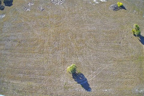 Land in Placida, Florida № 2165395 - photo 9