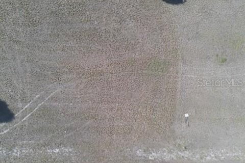 Land in Placida, Florida № 2165395 - photo 3