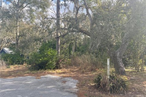 Terrain à vendre à New Port Richey, Floride № 2234517 - photo 2