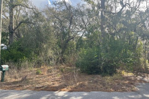Terrain à vendre à New Port Richey, Floride № 2234517 - photo 4