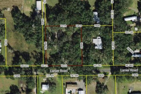 Land in Plant City, Florida № 1534433 - photo 5