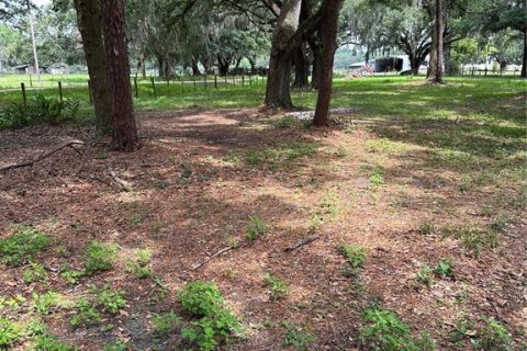 Land in Plant City, Florida № 1534433 - photo 4