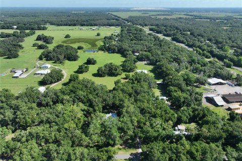 Land in Plant City, Florida № 1534433 - photo 3