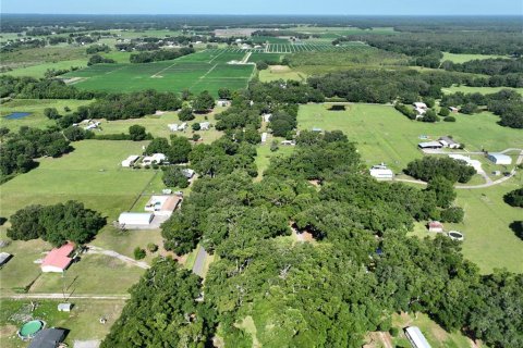 Land in Plant City, Florida № 1534433 - photo 2