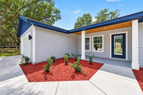 Villa ou maison à vendre à Ocklawaha, Floride: 3 chambres, 146.41 m2 № 2402922 - photo 3