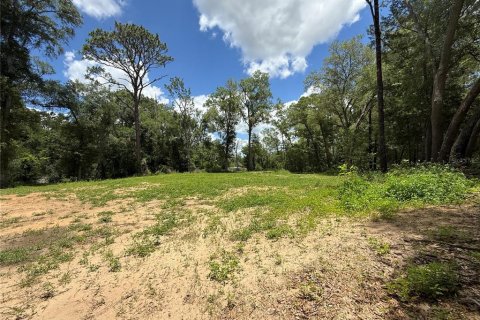 Terrain à vendre à Ocala, Floride № 2212249 - photo 5