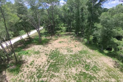 Terrain à vendre à Ocala, Floride № 2212249 - photo 2