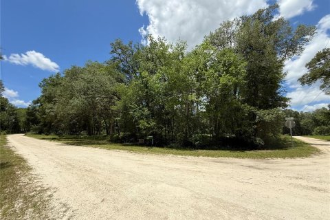 Land in Ocala, Florida № 2212249