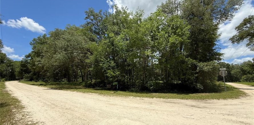 Terrain à Ocala, Floride № 2212249