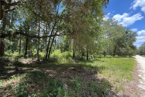 Terrain à vendre à Ocala, Floride № 2212249 - photo 4