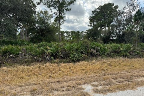 Land in North Port, Florida № 2159908