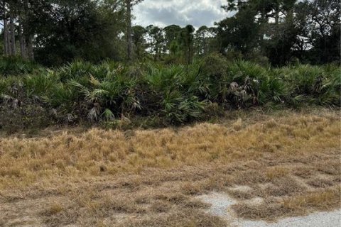 Land in North Port, Florida № 2159908 - photo 2