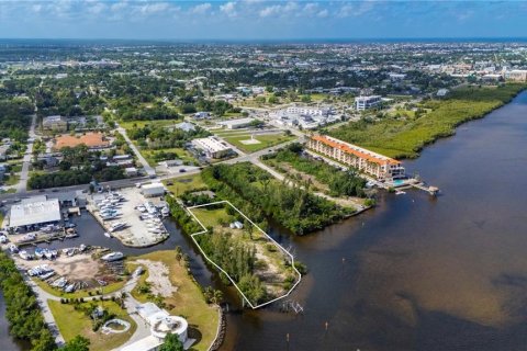 Terrain à Punta Gorda, Floride № 2128022
