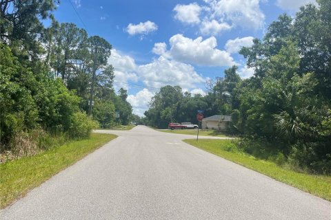 Land in North Port, Florida № 2161748 - photo 3