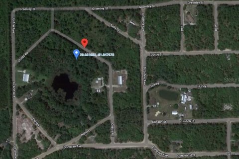 Land in Interlachen, Florida № 2165860 - photo 3