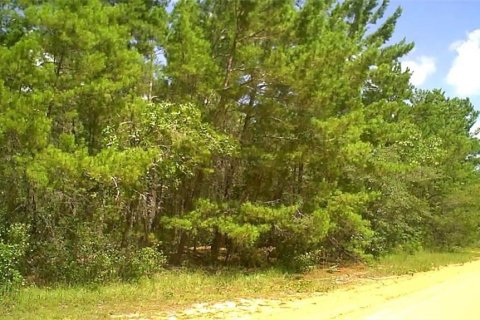 Land in Interlachen, Florida № 2165860