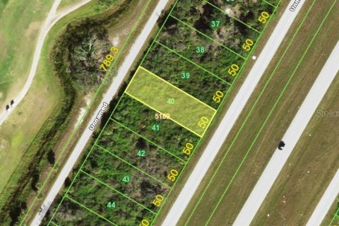 Land in Port Charlotte, Florida № 2160180