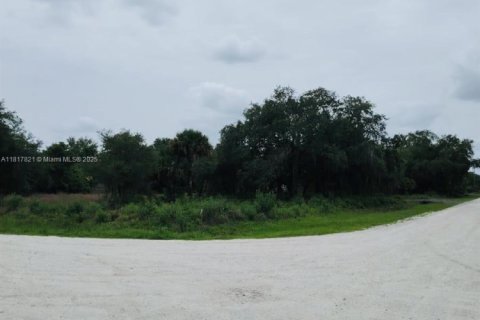 Land in Clewiston, Florida № 1774475 - photo 7