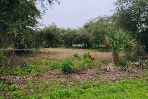 Land in Clewiston, Florida № 1774475 - photo 2