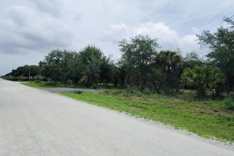 Land in Clewiston, Florida № 1774475 - photo 5