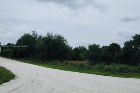 Land in Clewiston, Florida № 1774475 - photo 6