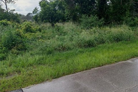 Land in Deltona, Florida № 2232568