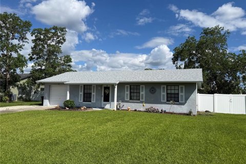Villa ou maison à Palm Coast, Floride 3 chambres, 86.96 m2 № 2110605