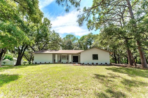 House in Oldsmar, Florida 3 bedrooms, 189.24 sq.m. № 2400374 - photo 30