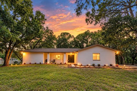 House in Oldsmar, Florida 3 bedrooms, 189.24 sq.m. № 2400374