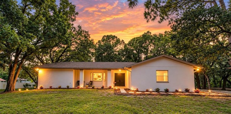 House in Oldsmar, Florida 3 bedrooms, 189.24 sq.m. № 2400374