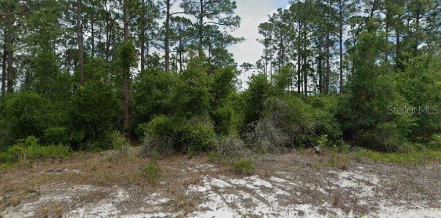 Land in Lake Placid, Florida № 2239978
