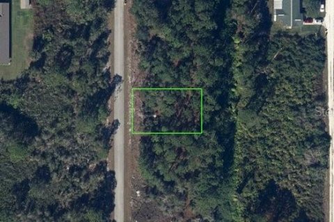 Land in Lake Placid, Florida № 2239978 - photo 2