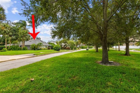 House in Tampa, Florida 4 bedrooms, 181.25 sq.m. № 1866009 - photo 1