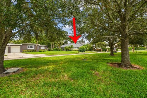House in Tampa, Florida 4 bedrooms, 181.25 sq.m. № 1866009 - photo 3