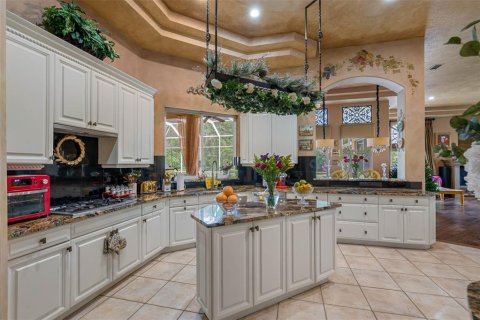 Villa ou maison à vendre à Tarpon Springs, Floride: 5 chambres, 424.56 m2 № 2418925 - photo 5