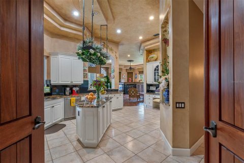 Villa ou maison à vendre à Tarpon Springs, Floride: 5 chambres, 424.56 m2 № 2418925 - photo 4