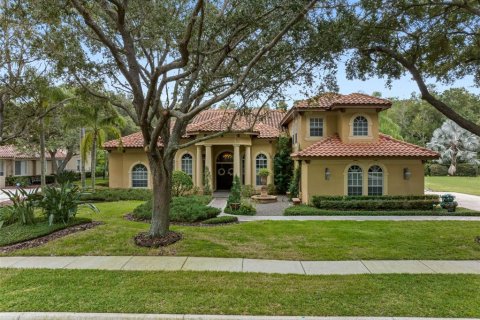 Villa ou maison à Tarpon Springs, Floride 5 chambres, 424.56 m2 № 2418925