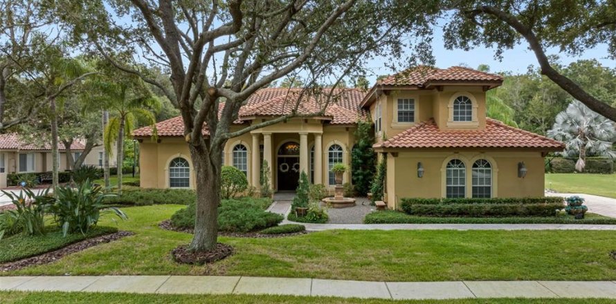 Villa ou maison à Tarpon Springs, Floride 5 chambres, 424.56 m2 № 2418925