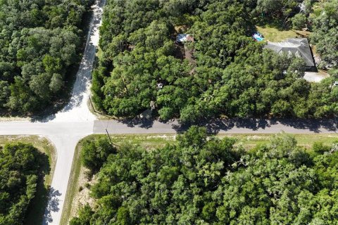 Villa ou maison à vendre à Webster, Floride: 3 chambres, 193.33 m2 № 2294660 - photo 7